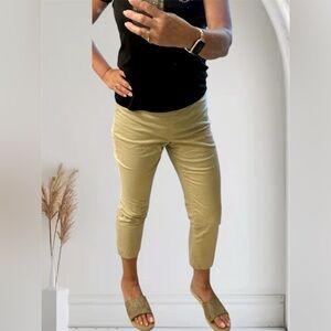 J Jill Capri pants